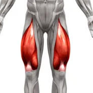PashaQuadriceps