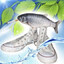 водитель лошади's avatar