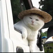 这是村里最好的装备