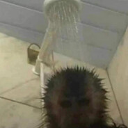 123