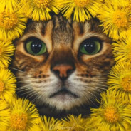 大口吃只是炸香蕉