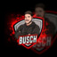 Busch