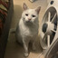 Henry