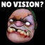 No vision