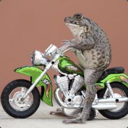 JRPaulon