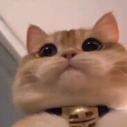 ⒶaŴÞ︻デ 一 ☭ sniper.Sk