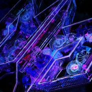 没有思想的芦草