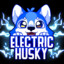 ElectricHuskyTTV