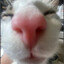Its_Ev3hh^-^
