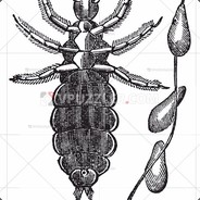 Подмудная Гнида