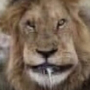 Баркалов Герман А