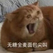 打我的人都玩原神