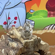 任何名称都可使用