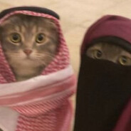 Мэдисон