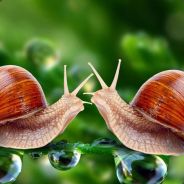 我只是个buff 而已，冲啊