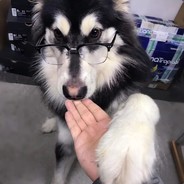 电脑（简单的）