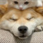 Chang