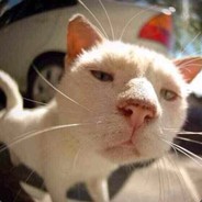 飞飞还是厉害啊