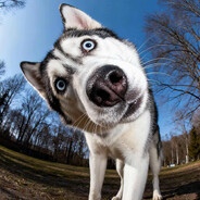 奸臣已经自己跳出来了