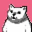 Gato a Jato