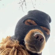 计算机科学与技术