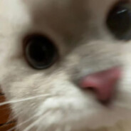 尿频尿急尿不尽