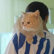 兴兴不闪包退换