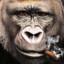 C-Gorilla