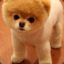 Ishie
