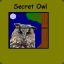 Secret Owl