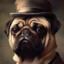 Mr.Pugston