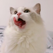 我这么用力你怎么还活着