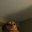 AnderS CSGOSKINS_skins.army