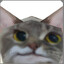 Liuminator1234