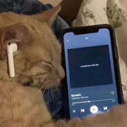 双叶幼稚园第一突破手