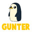 GUNTER
