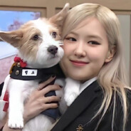 朴彩英圈外男友