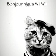 bonjourwiwi
