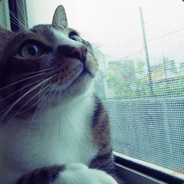GameBaseOnline ! Seb - steam id 76561197962787418