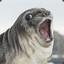 Slappy the Seal