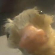 суперданиил