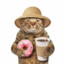 DONUTxCAT