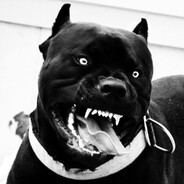 Dravec avatar