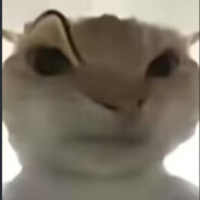 卖炸弹的小男孩