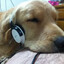 jake