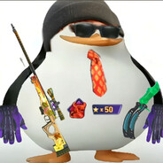 马达加斯加的曼波