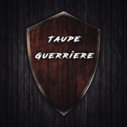 TaupeGuerriere. Steam avatar