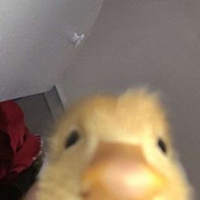 ☾⋆𝓛𝓲𝓵𝓲⋆☽