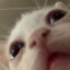 Karenoob