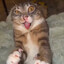 Dracu`